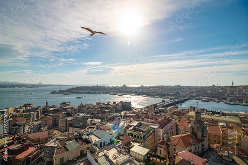 Istanbul view from Galata Tower and a seagull