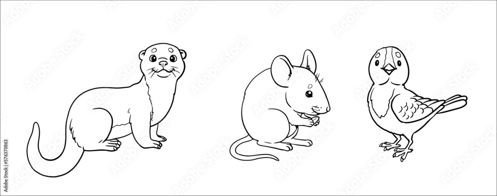 Cute mouse, otter and bird to color in. Vector template for a coloring book with funny animals. Coloring template for kids. Cute mouse, otter and bird to color in. Vector template for a coloring book with funny animals. Coloring template for kids.