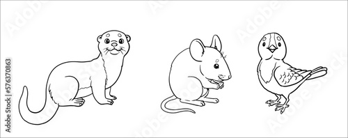 Cute mouse, otter and bird to color in. Vector template for a coloring book with funny animals. Coloring template for kids. 