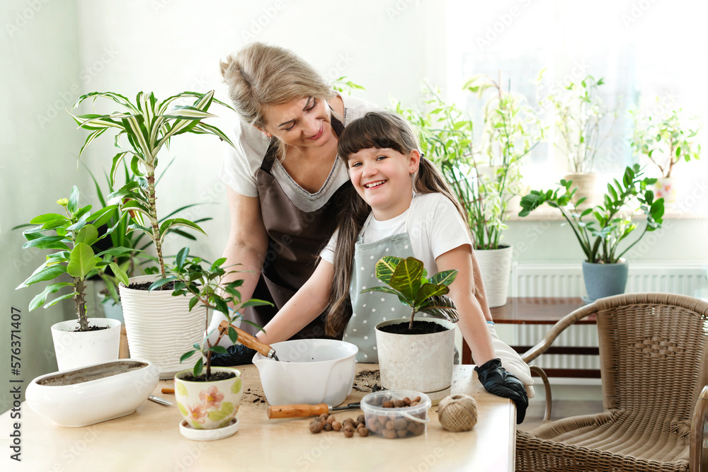 Grandmother and granddaughter transplant in home garden. Family on a spring day. Springtime. House plant care and growing