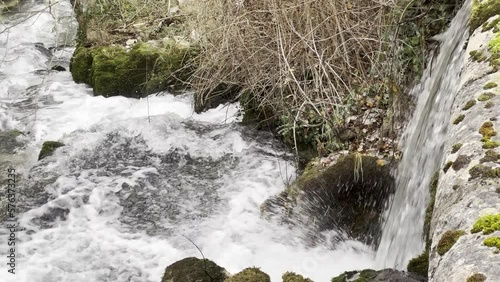 small waterfall in forest