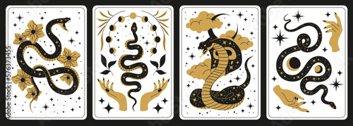 Mystic snakes symbols. Magic serpents with different occult symbols, spiritual elements, stars on skin, hands and flowers, poster or tarot cards, gold and black elements, tidy vector set