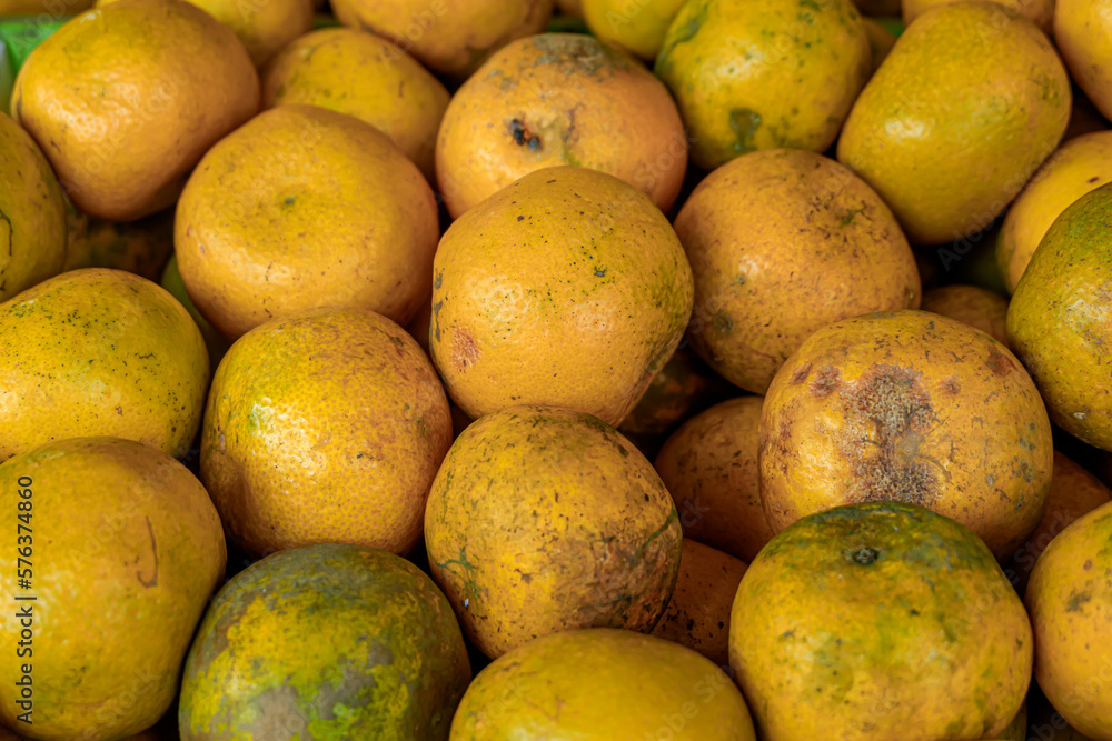 Medan oranges sold at the fruit shop Medan oranges sold at the fruit shop
