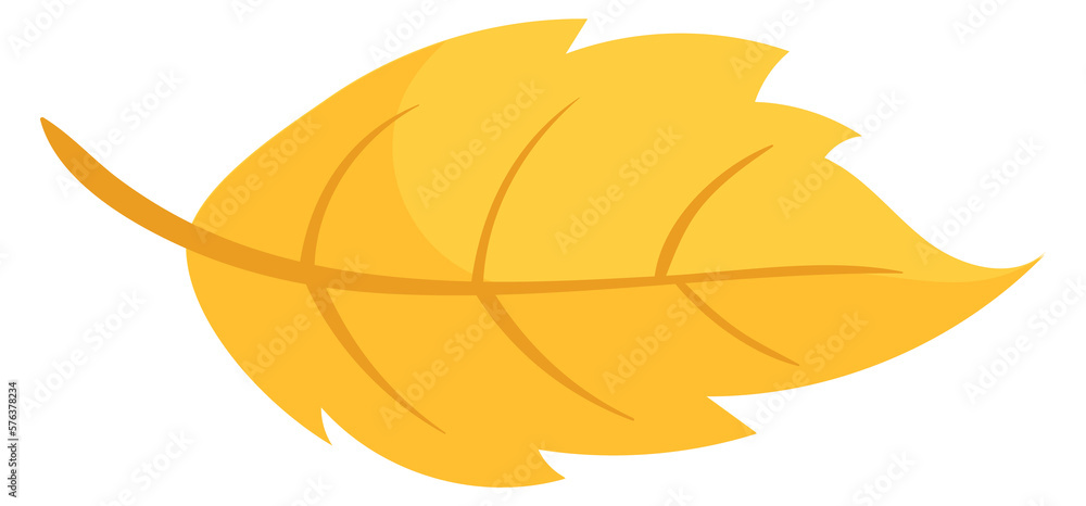 Obraz premium Yellow leaf. Autumn tree foliage cartoon icon