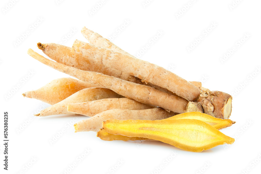 Kaempfer or krachar isolated on white background Kaempfer or krachar isolated on white background