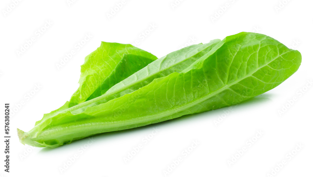 Lettuce vegetable isolated on white background Lettuce vegetable isolated on white background