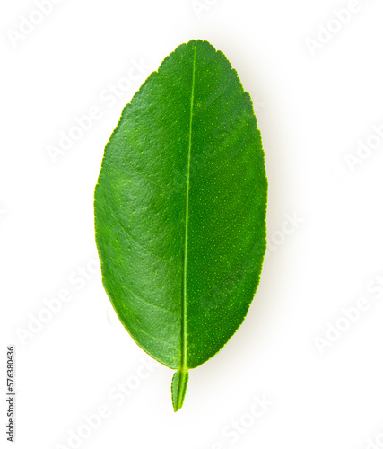 top view lemon yellow isolated on white background