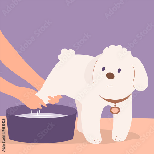 Woman washing the paws of a small dog. Pet care and friendship. Cartoon vector character illustration