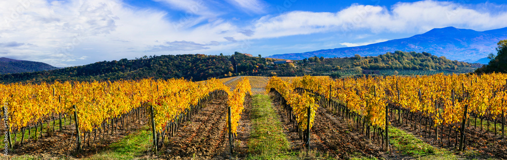 Italy. Tuscany scenic nature landscape. panoramic view of countryside with hills of vineyards in autumn colors