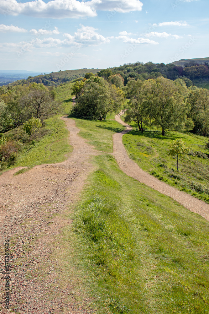 Summer trees along the Malvern hills of the UK.