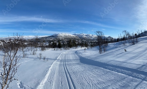 Snowy scenes in Hovden, Norway. Ski tracks on the ground, with Mountains and trees behind. Snow covered houses and blue skies. Bluebird weather. 