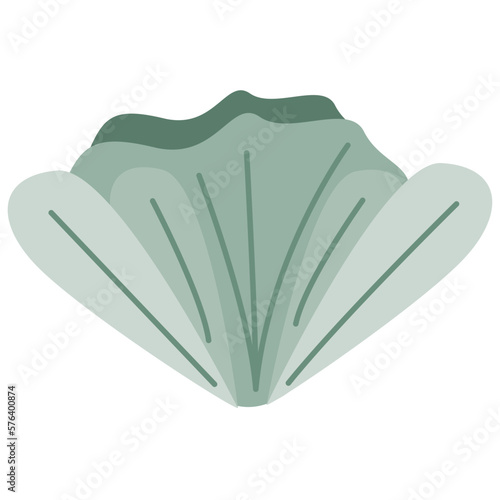 Flower plant botanical decoration