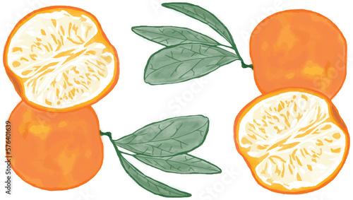 Juicy tangerine drawing. Stylized tangerine. Sketch of a tangerine. Orange tangerine drawing vector.