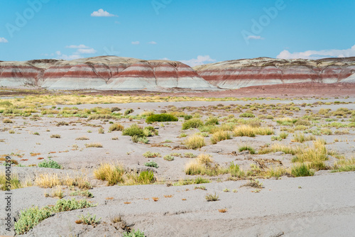 Painted Desert, Petrified Forest National Park photo