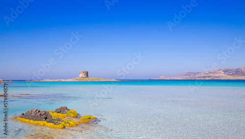 Fototapeta Naklejka Na Ścianę i Meble -  the beauty of the sea of ​​sardinia and its crystalline water in the beach of La Pelosa, Stintino North sardinia
