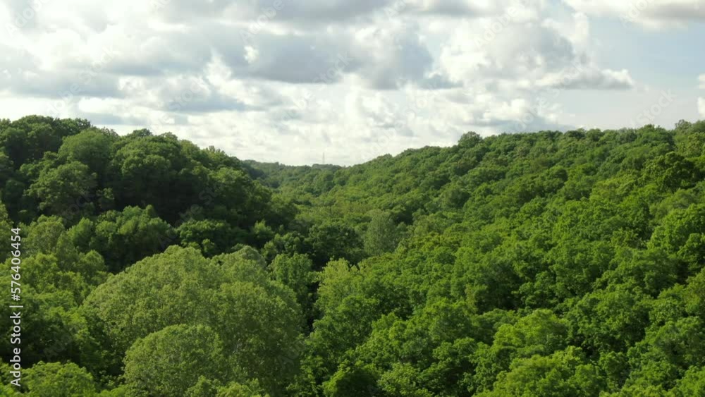 Aerial revealing over tree tops of green forest canopy in Hocking Hills in southeast Ohio Aerial revealing over tree tops of green forest canopy in Hocking Hills in southeast Ohio
