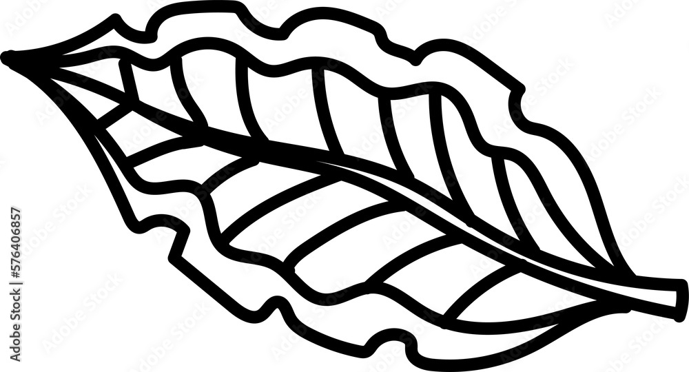 Obraz premium Natural, line art design element with black thin line. PNG with transparent background