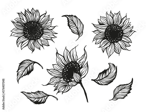 Sunflower beautiful outline flower set with leaves, line sketch nature botanical set decoration. Vector flora elements