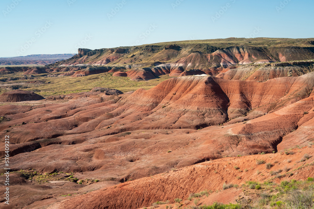 Red and Green Landscape with Mounds at Petrified Forest National Park