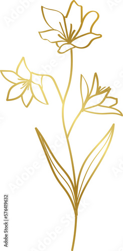 Fototapeta Naklejka Na Ścianę i Meble -  Transparent Gold Floral Illustration