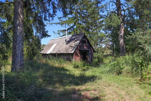 Abandoned old wooden hut in the forest