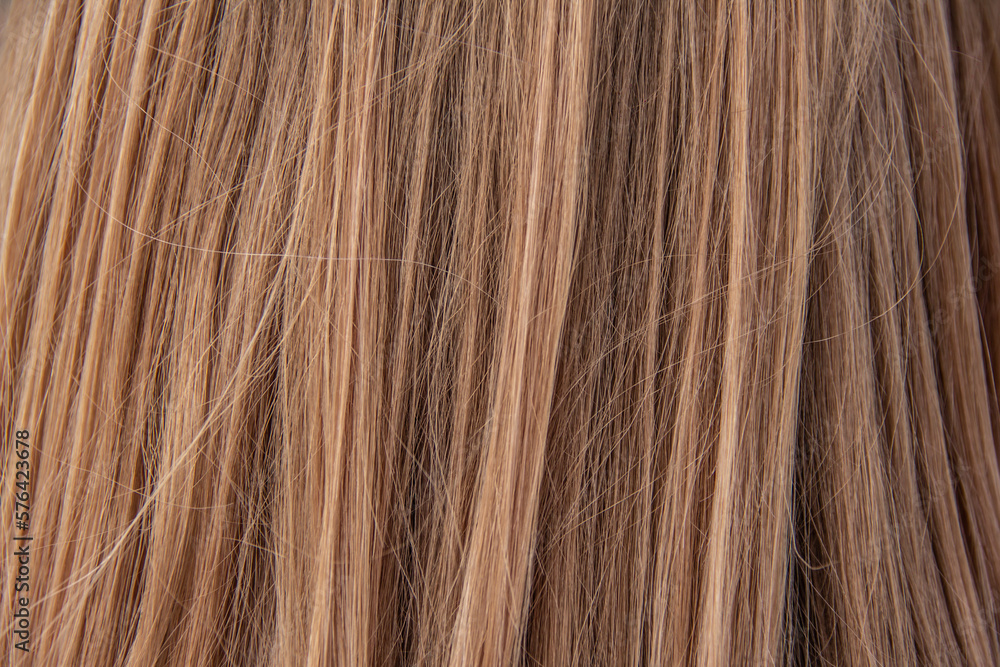 intricate texture of hair strands, resembling delicate strands of silk intricate texture of hair strands, resembling delicate strands of silk