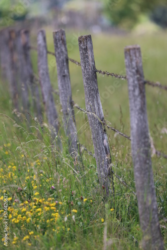 Old wooden fence around a grass field - Bievres - Essonne - Ile-de-France - France