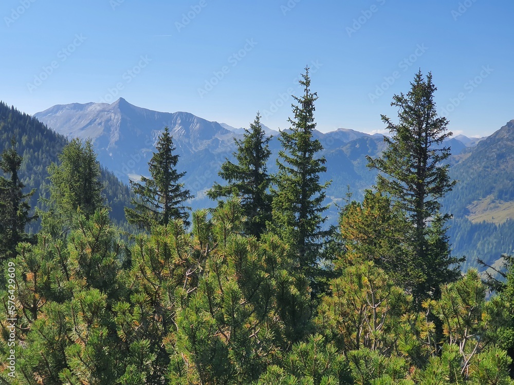 Austrian landscape: mountains, hills and green trees