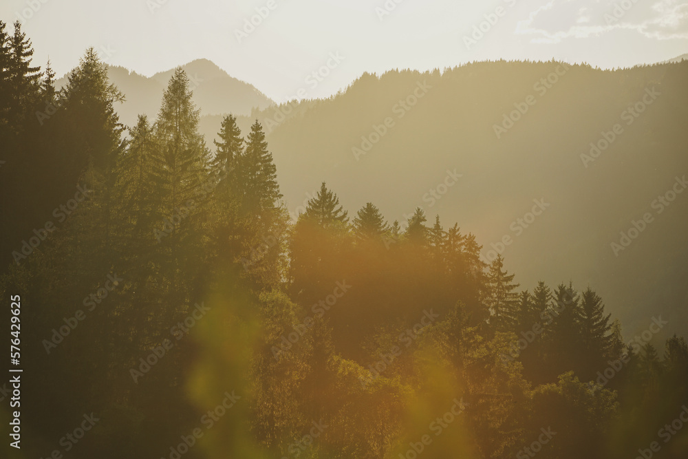 Fototapeta premium Beautiful sunset in the mountains and forest