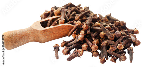 Wallpaper Mural Organic clove Torontodigital.ca