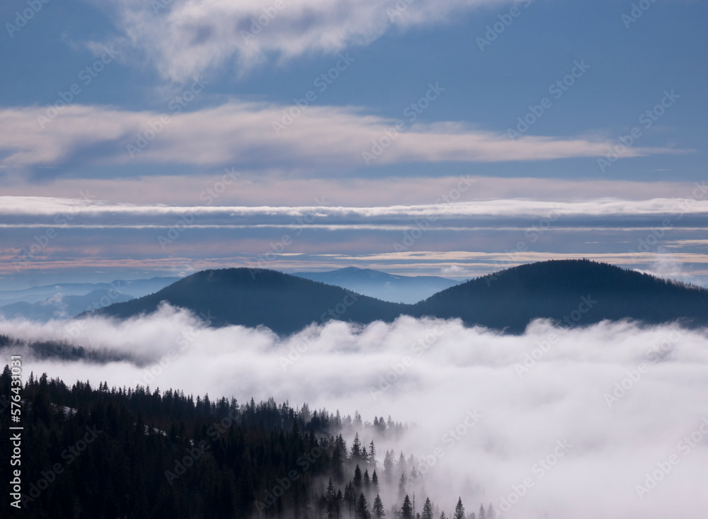 Color image of dense clouds in a mountain valley with a coniferous forest in sunny weather.
