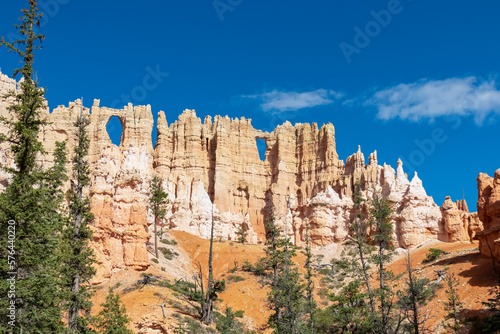 Close up scenic view of the wall of windows on Peekaboo hiking trail, Bryce Canyon National Park, Utah, USA. Steep hoodoo sandstone rock formations in natural amphitheatre. Pine trees in foreground