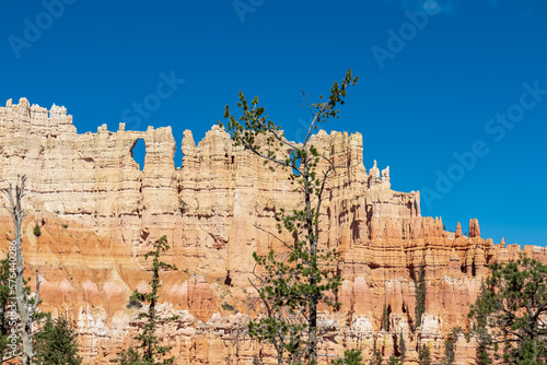 Close up scenic view of the wall of windows on Peekaboo hiking trail, Bryce Canyon National Park, Utah, USA. Steep hoodoo sandstone rock formations in natural amphitheatre. Pine trees in foregound