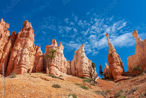 Close up scenic view of impressive Winy Pinnacles on Peekaboo hiking trail in Bryce Canyon National Park, Utah, USA. Massive steep hoodoo sandstone rock formations in natural amphitheatre in summer © Chris