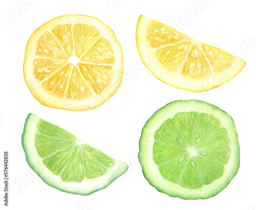 set of yellow lemon and green lime, bergamot slices on a transparent background, hand made watercolor drawing