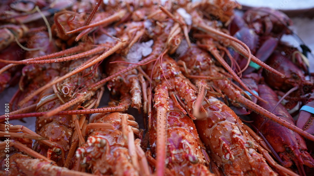 Sea food for sale. Lobsters and shrimps on display at food market Sea food for sale. Lobsters and shrimps on display at food market