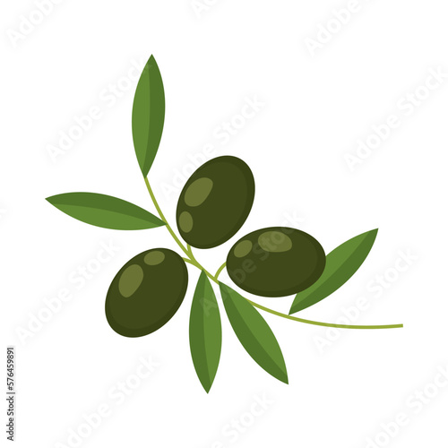 olive branch leaf