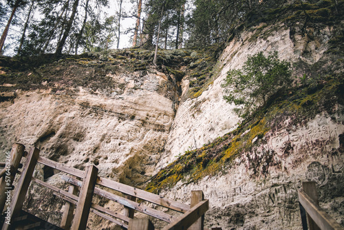 forest sand rock outcrops in Latvia