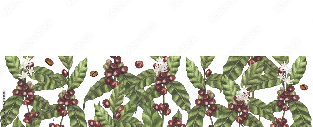 Watercolor frame of red coffee arabica beans on branch with berries ...