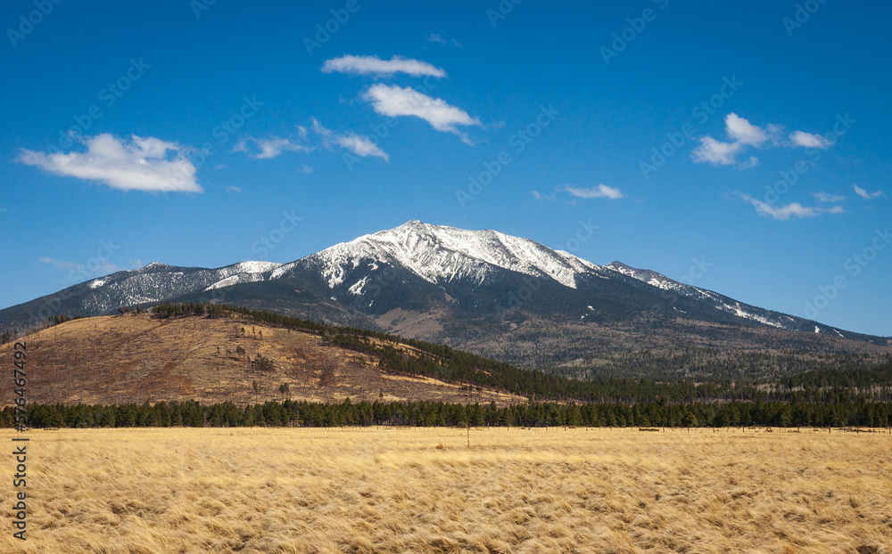 Rolling Landscape of The San Francisco Peaks in Coconino National Forest