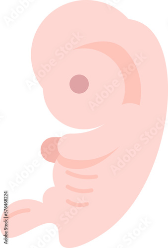 embryo  icon