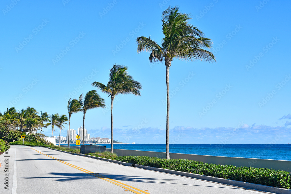 Blue ocean views and palm tree lined streets along the Atlantic coastline in West Palm Beach in Palm Beach County, Florida.	