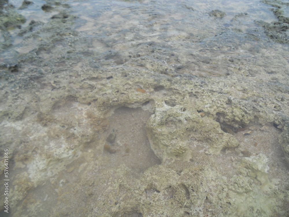 Obraz premium Costa Rica Moin Beach