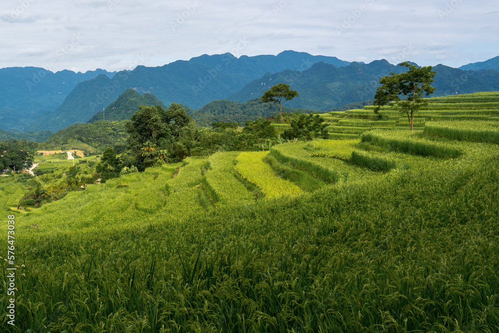 Northern Vietnam, landscape and village in the National Park of Pu Luong. 