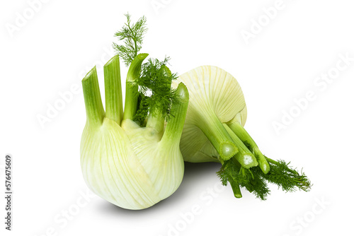 Fresh fennel bulb isolated on a transparent background photo
