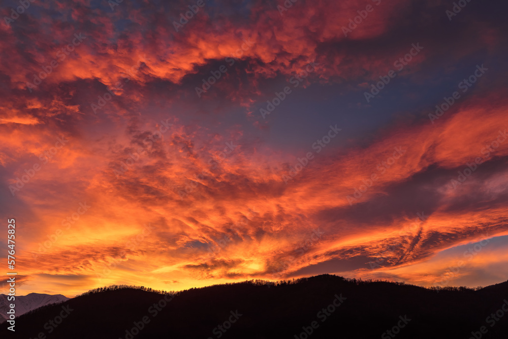 Fire beauty Fire beauty