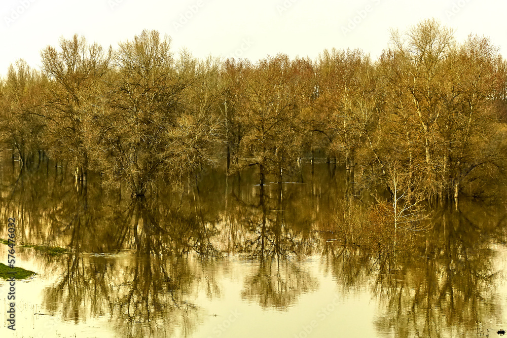 Large flood of the river in spring in the forest. Large flood of the river in spring in the forest.
