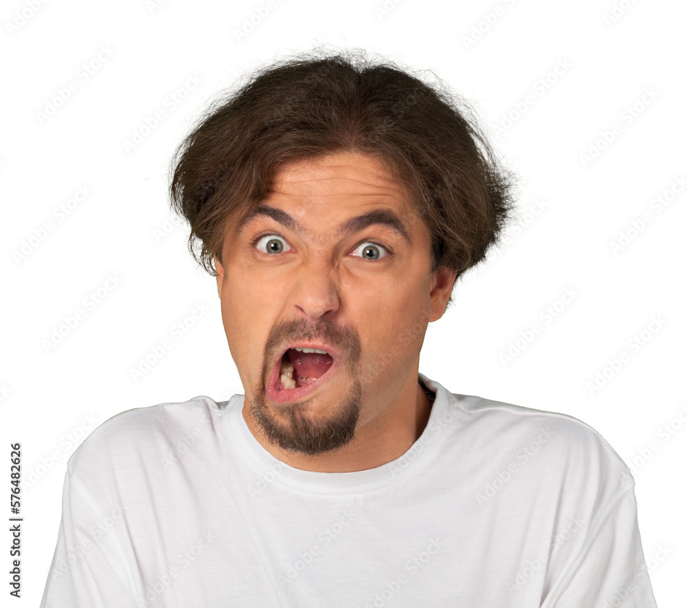 Portrait of a Furious Man Portrait of a Furious Man
