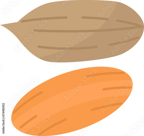 pecans  icon