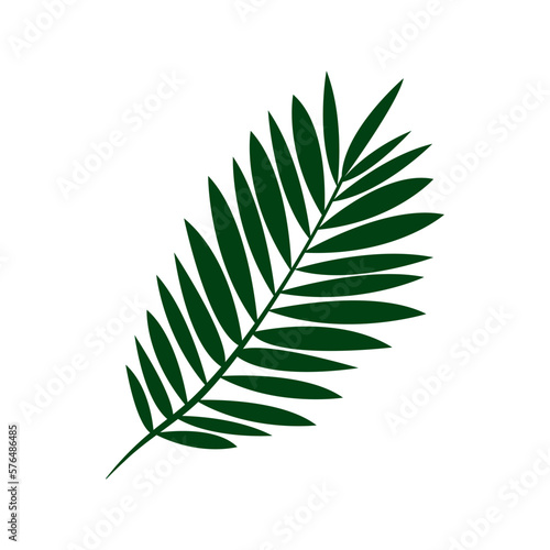 Jewish holiday Passover, Pesach. Palm icons and symbols on white background. Vector illustration